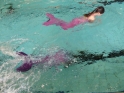 Meerjungfrauenschwimmen-161.jpg